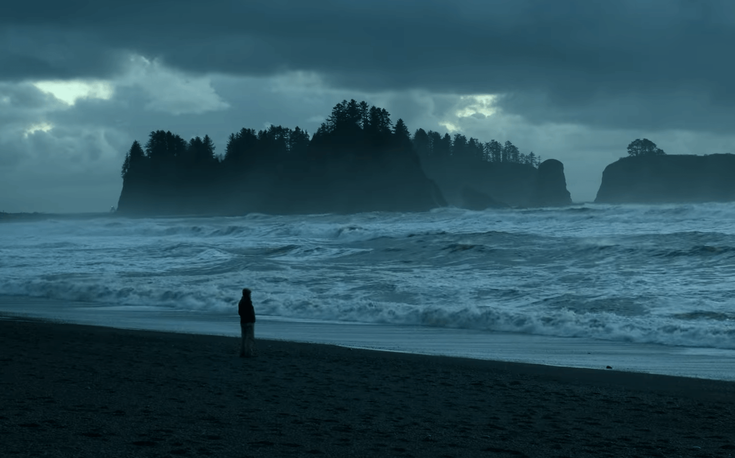 La Push First Beach Wolf Territory